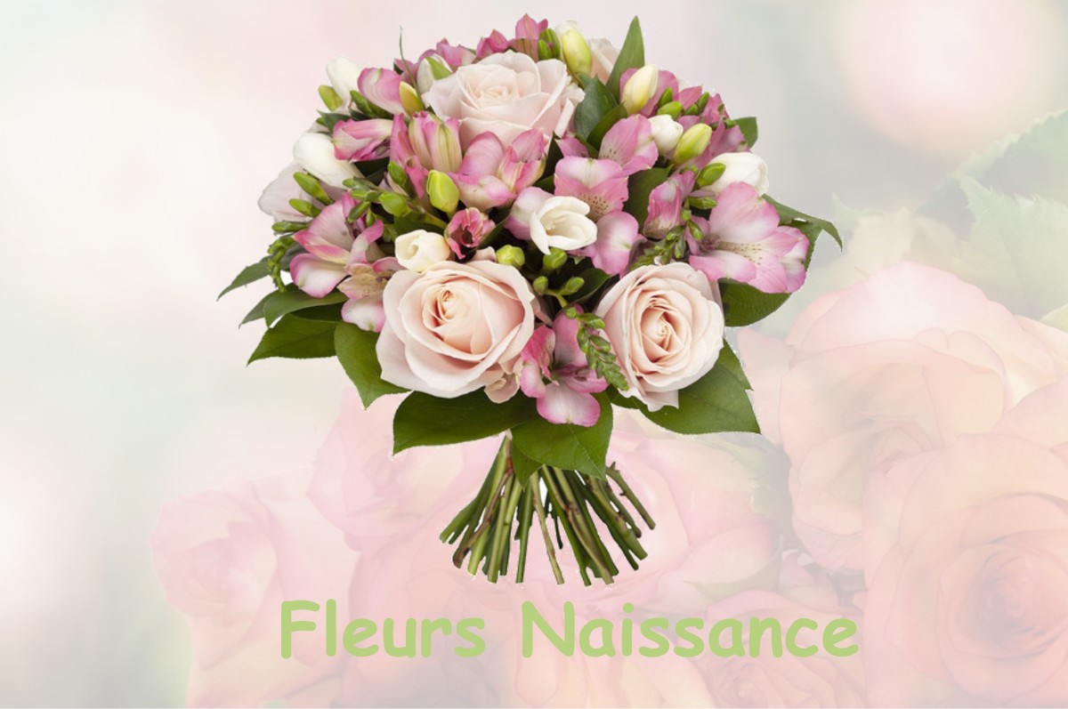 fleurs naissance SAINT-HILAIRE-DE-VOUST