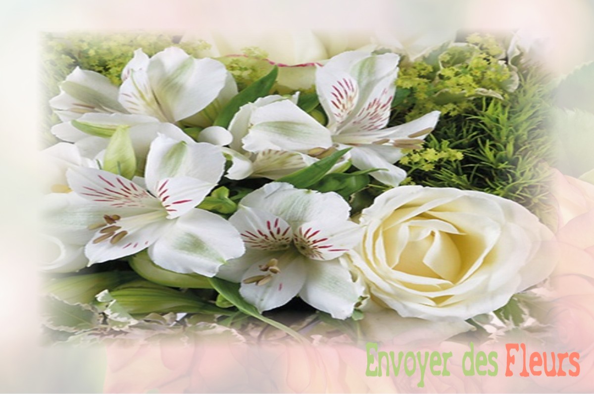 envoyer des fleurs à à SAINT-HILAIRE-DE-VOUST